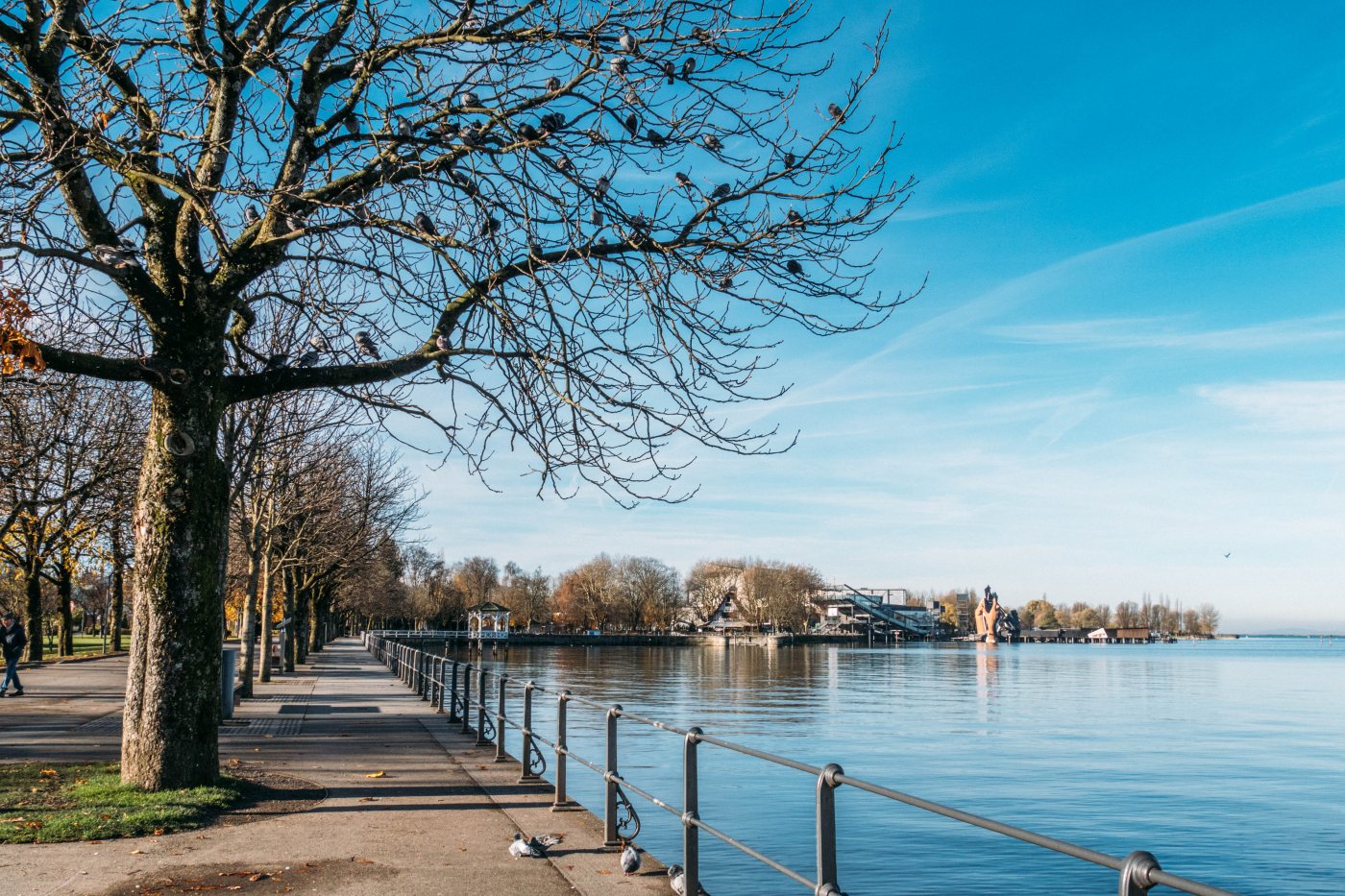Parco sul lago in inverno